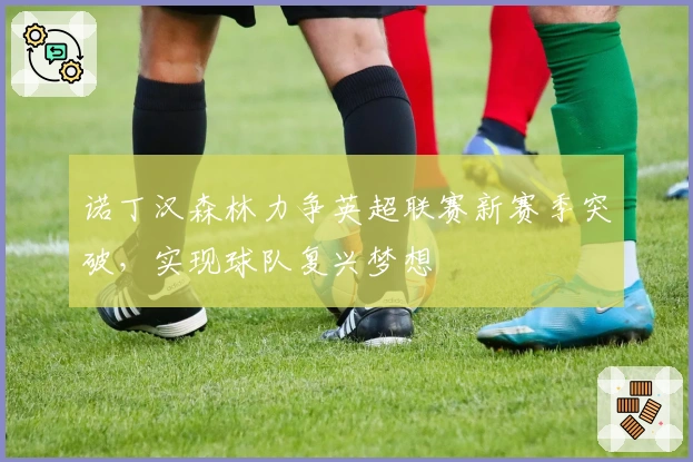 诺丁汉森林力争英超联赛新赛季突破,实现球队复兴梦想