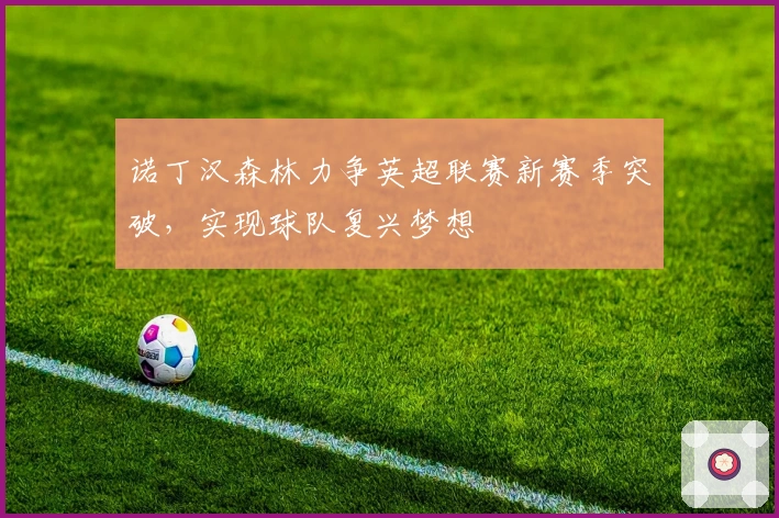诺丁汉森林力争英超联赛新赛季突破，实现球队复兴梦想